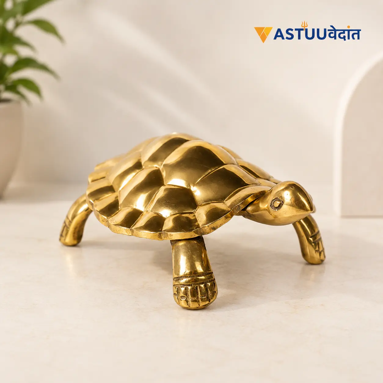 Tortoise - Unstoppable Victory through Patience and Perseverance