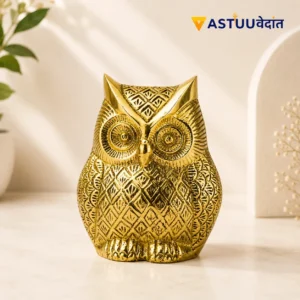 Owl - Sharpens the Vision
