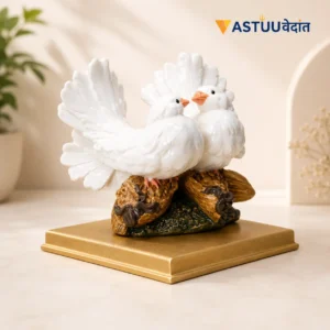 Love Birds/White Pigeons - Experience True Love