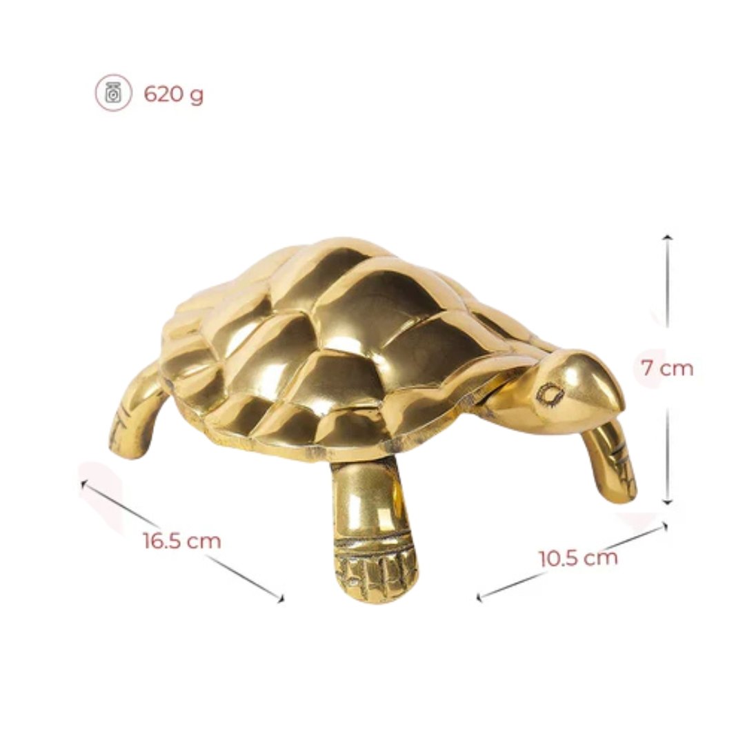 Tortoise - Unstoppable Victory through Patience and Perseverance - Image 2